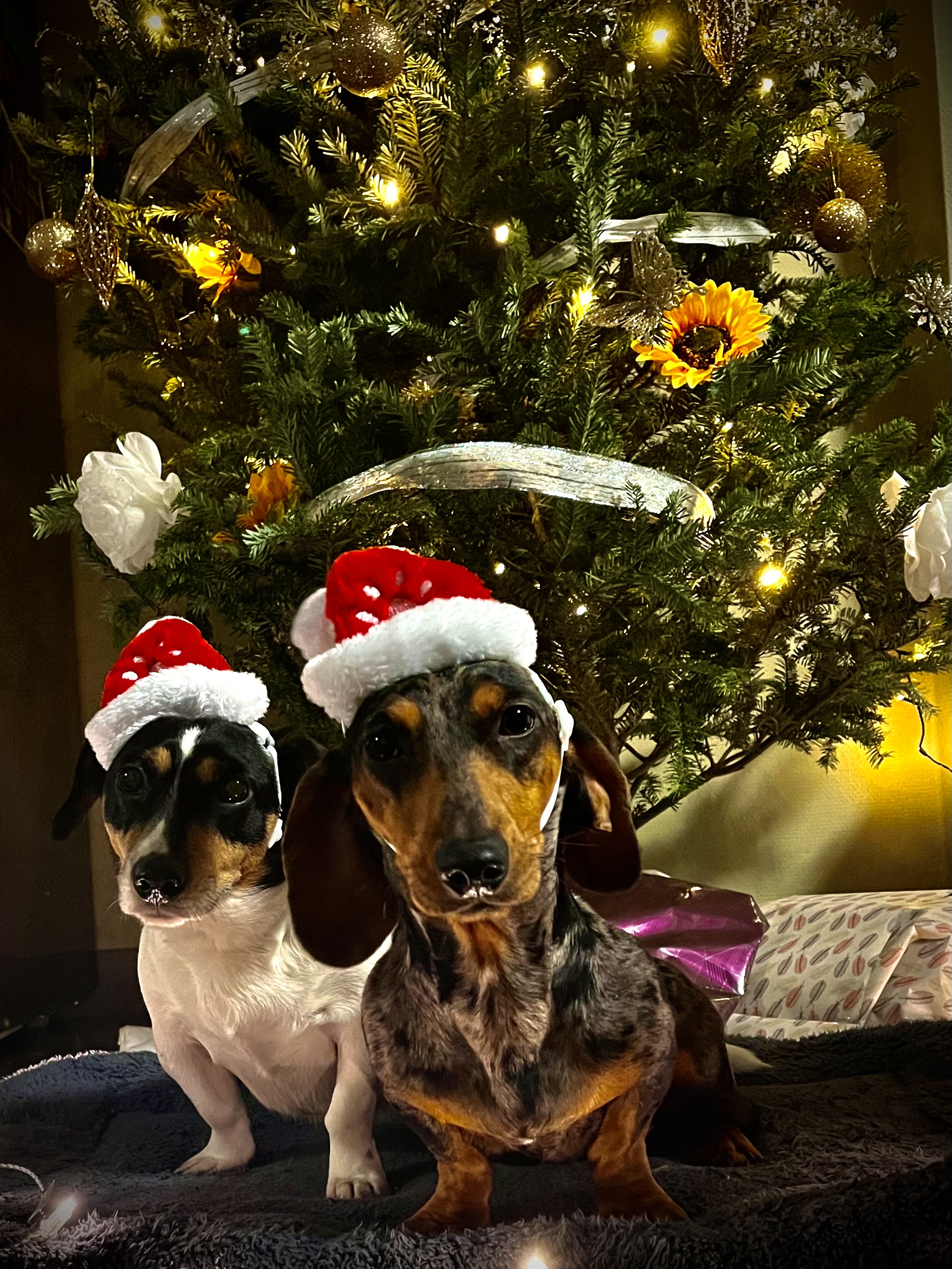 Tara en Lexi Tara en Lexi