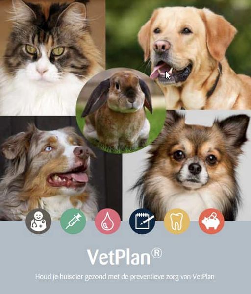 VetPlan VetPlan