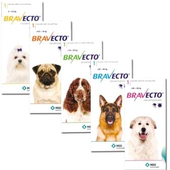 Bravecto Bravecto