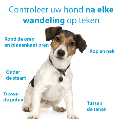 o'tom
