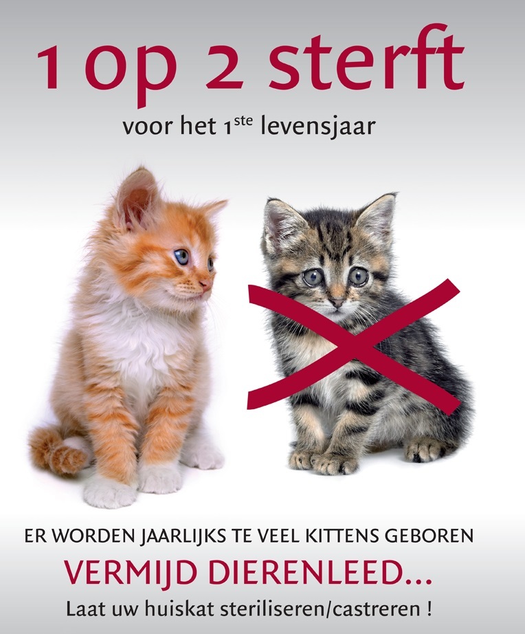 Dierenleed Dierenleed