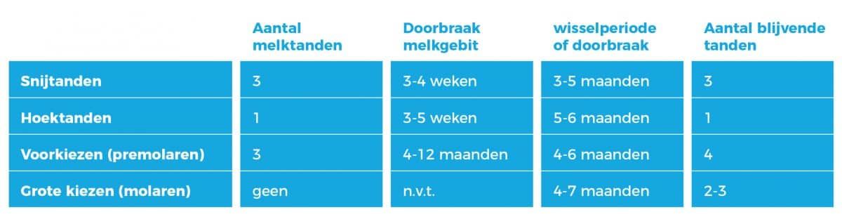 Schema tandenwissel Schema tandenwissel